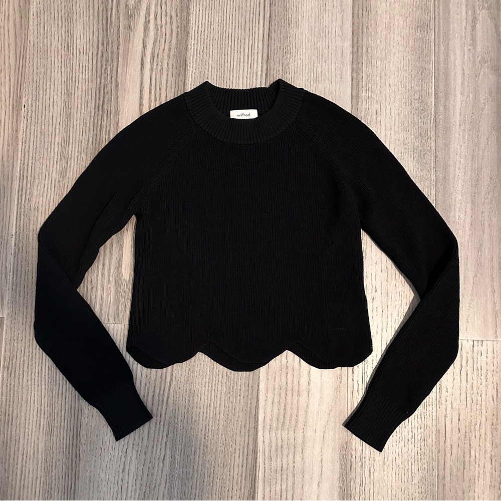 Aritzia Wilfred Sweater